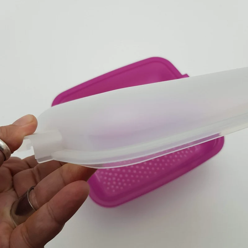 Vaporiera leonardo rettangolare microonde Whirlpool