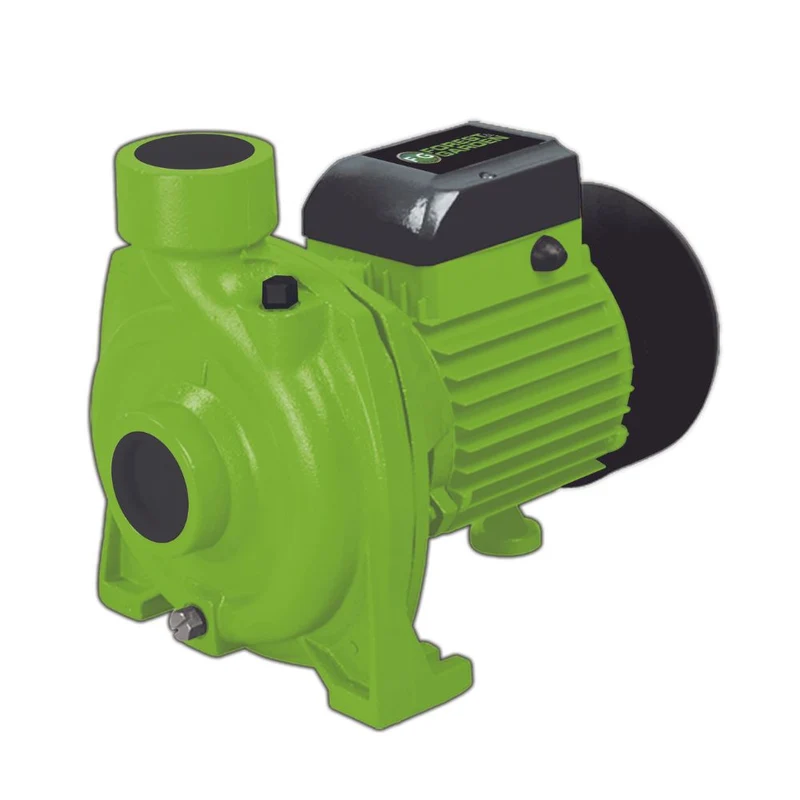 BOMBA CENTRÍFUGA FOREST & GARDEN 2HP
