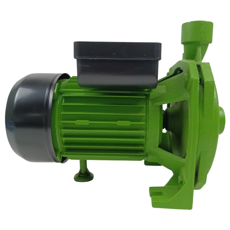 BOMBA CENTRÍFUGA FOREST & GARDEN 2HP