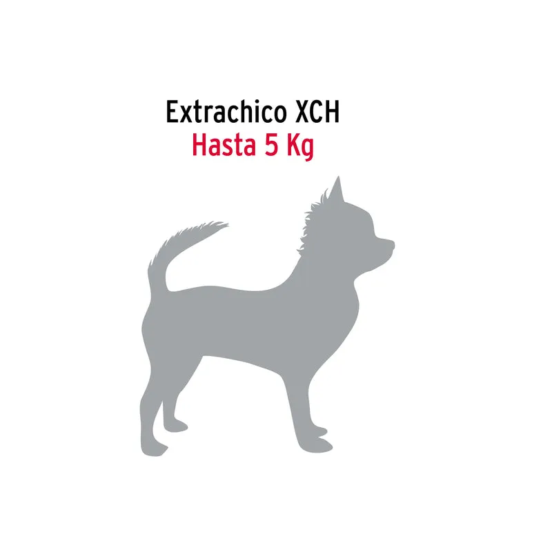 CORREA DE 1.2 M DE PASEO PARA PERRO, ESLABÓN 2 MM, FIERO